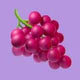 Sabor